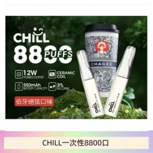 10種口味｜鴨嘴獸CHILL 8800口一次性電子菸 8ml大容量煙油