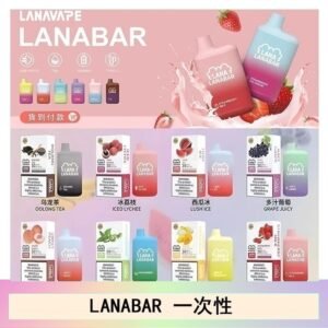 LANA BAR可充电一次性電子煙霧化5000口(3.0%)