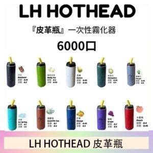 LH HOTHEAD皮革瓶電子煙可充電6000口一次性