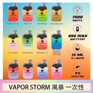 Vapor Storm風暴電子煙7500口（5%）一次性